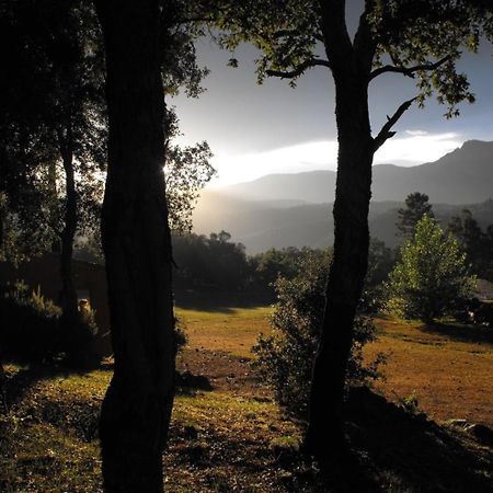 Camping Maçanet de Cabrenys Exteriör bild