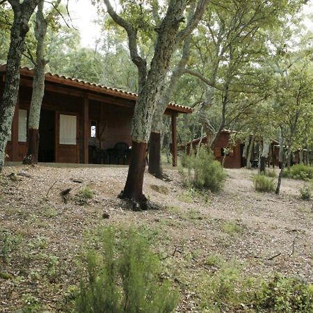 Camping Maçanet de Cabrenys Exteriör bild