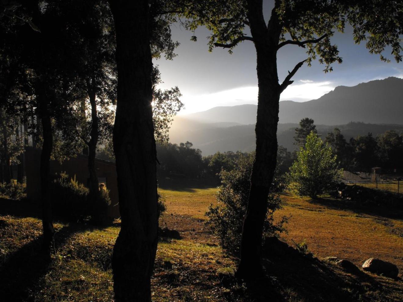 Camping Maçanet de Cabrenys Exteriör bild