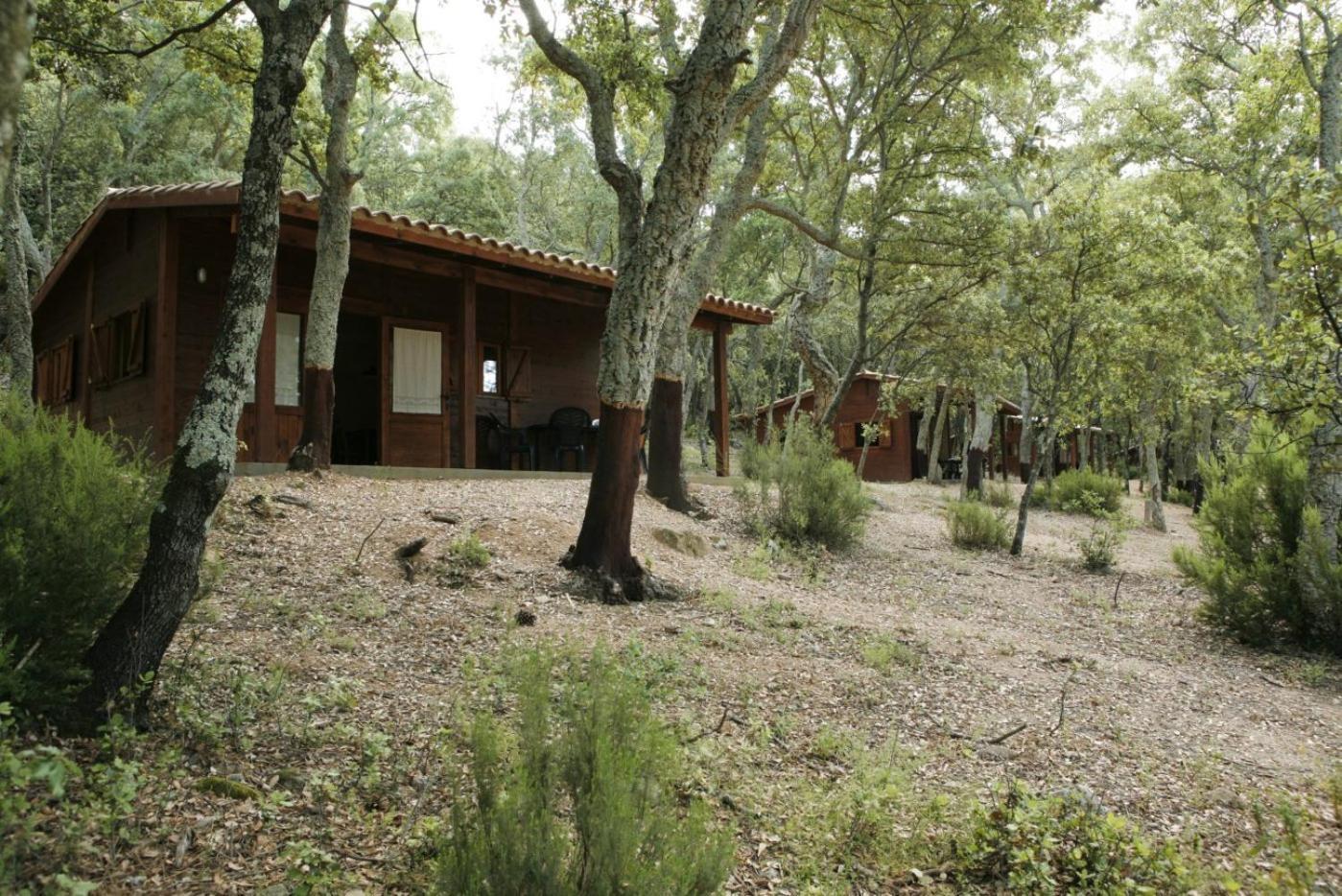 Camping Maçanet de Cabrenys Exteriör bild