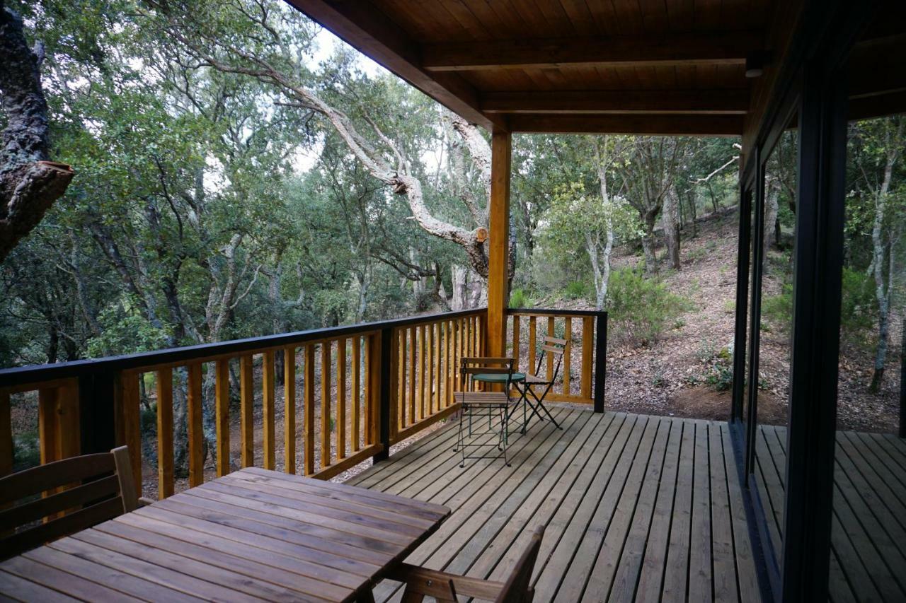 Camping Maçanet de Cabrenys Exteriör bild